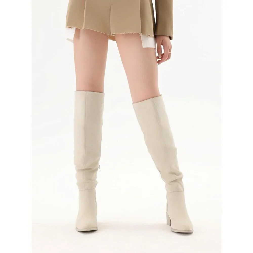 Women's Beige Suede Over The Knee Thigh High Chunky Block Heel Pointed Toe Boots